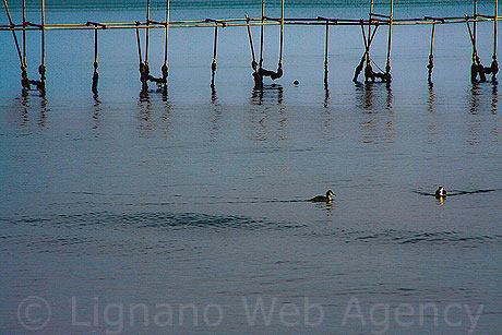 The sea at Jesolo city photo